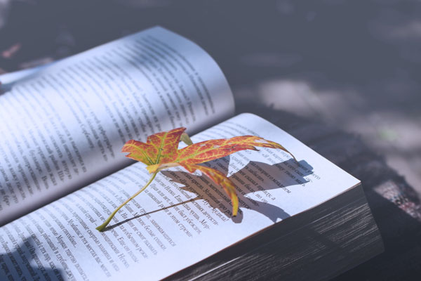 Design_CentauryPress Design_CentauryPress