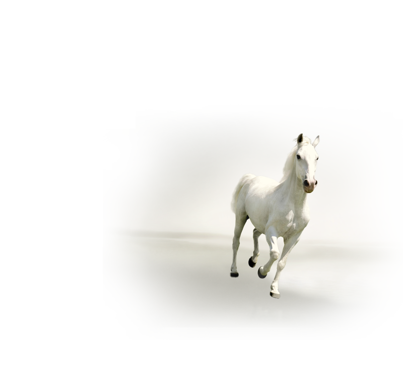 Centaury Press Horse